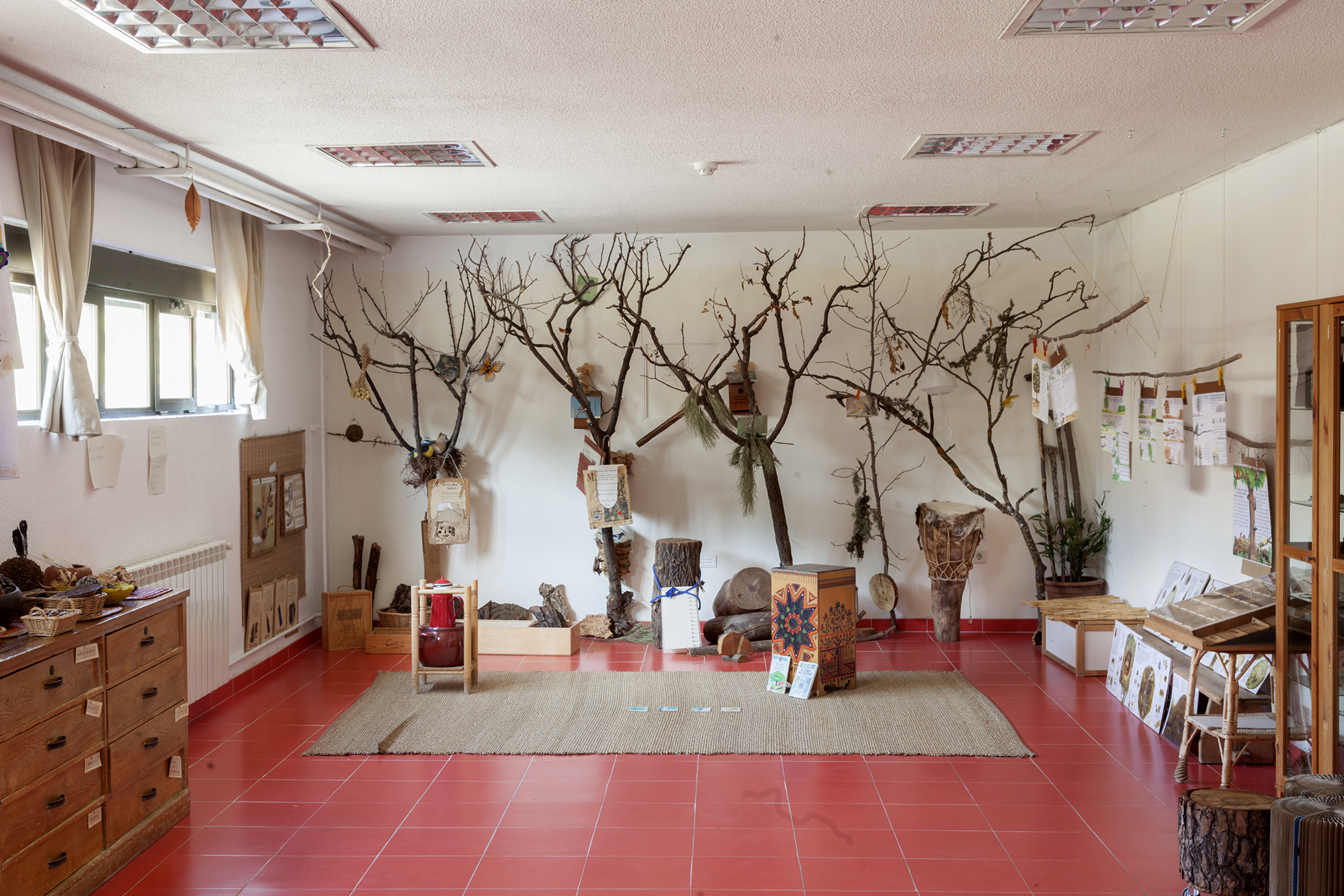 Centro de Formación Ambiental - Granja Escuela en Complejo Educativo Ciudad Escolar - San Fernando